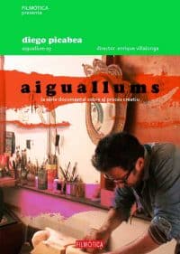 diego-picabea