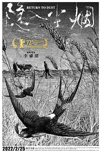 El regreso de las golondrinas