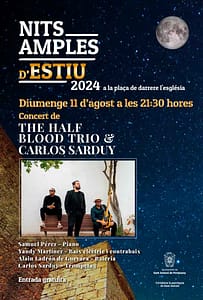 nits-amples-d-estiu-half-blood-trio-ibiza-2024
