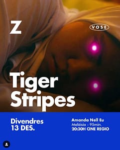tiger-stripes-zinetic