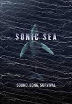 Sonic-sea