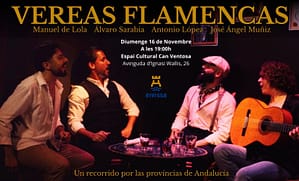 “Vereas Flamencas”, concierto por el Día Internacional del Flamenco.